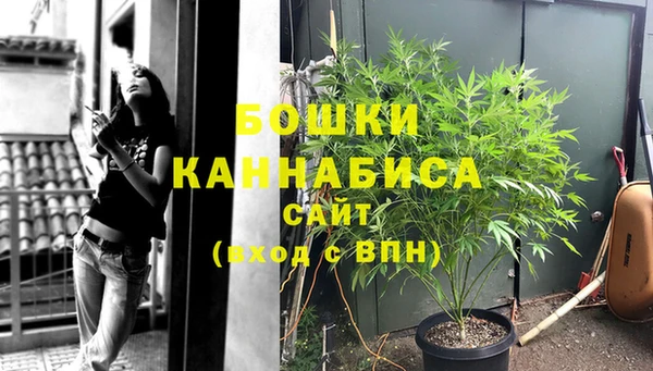 первитин Козловка
