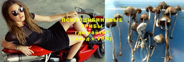ALPHA-PVP Козельск